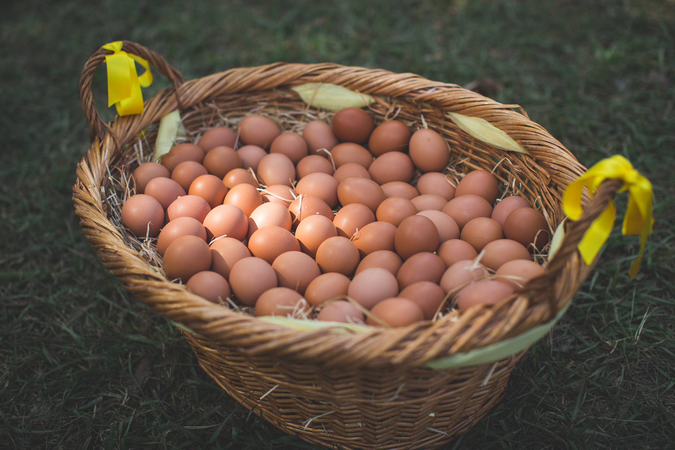 fête de la ville de dumbéa omelette géante