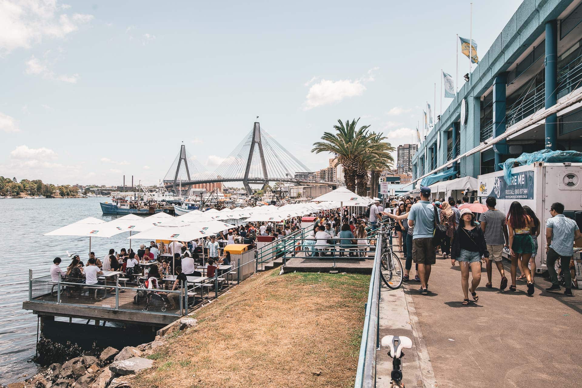 sydney fish market
