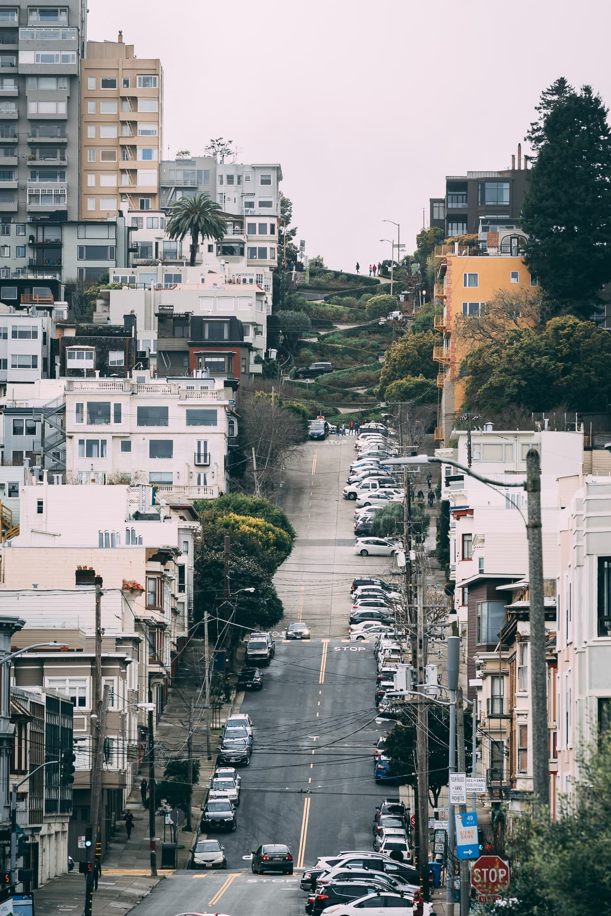 san francisco visite coup de coeur